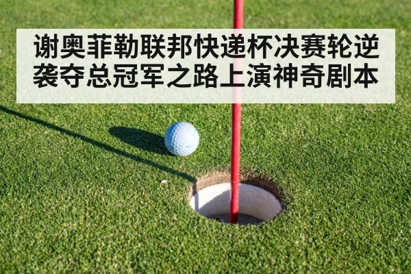 谢奥菲勒联邦快递杯决赛轮逆袭夺总冠军之路上演神奇剧本