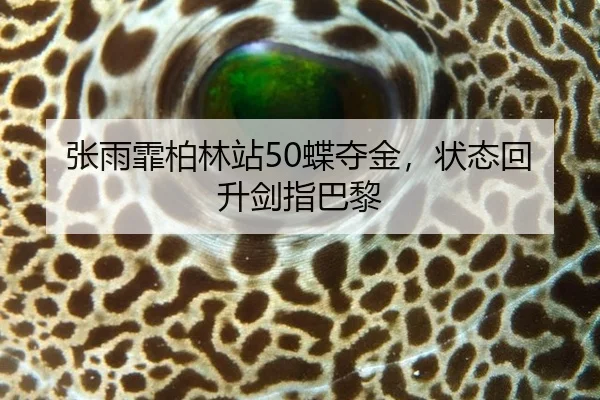 张雨霏柏林站50蝶夺金，状态回升剑指巴黎