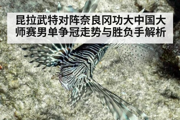 昆拉武特对阵奈良冈功大中国大师赛男单争冠走势与胜负手解析